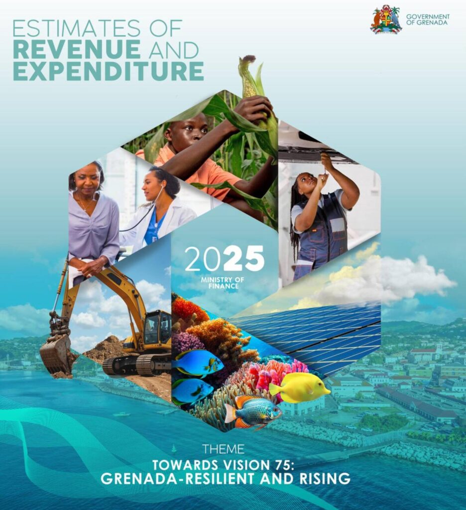 2025 Estimates of Revenue and Expenditure. Image: GOG