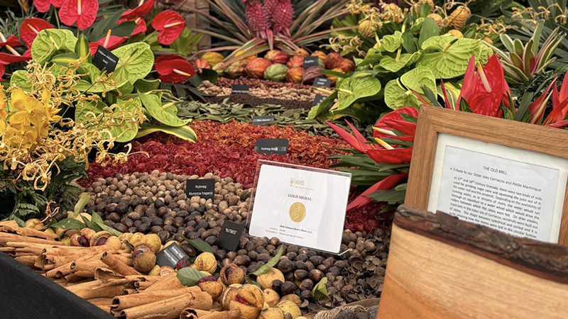 RHS Chelsea Flower Show
